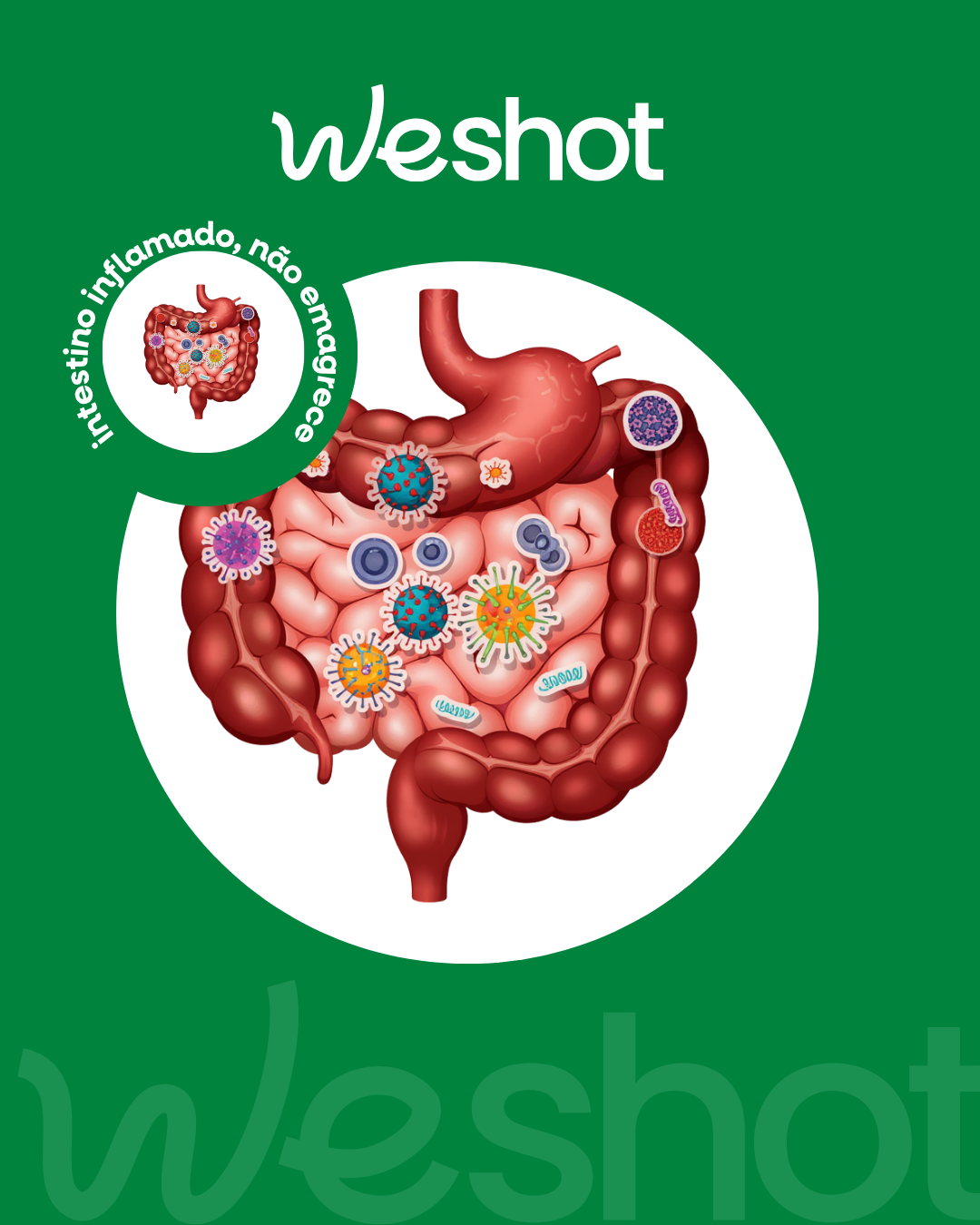 Shot Matinal para imunidade: 3 dicas simples para melhorar a saúde intestinal e a imunidade